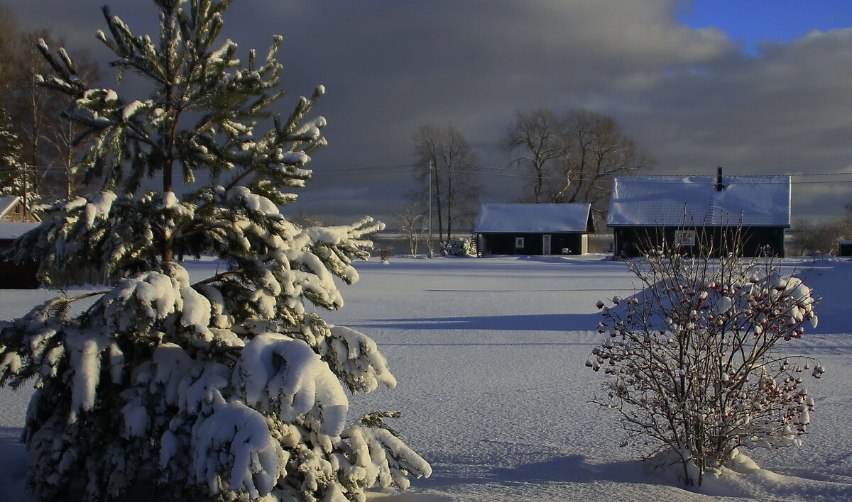 Зимнее..♥ - Татьян@ Ивановна