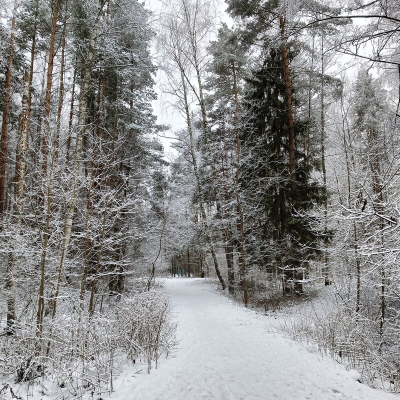 в парке - Владимир 