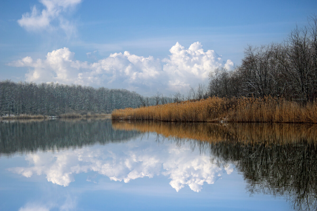 *** - Александр. AVG100 ---