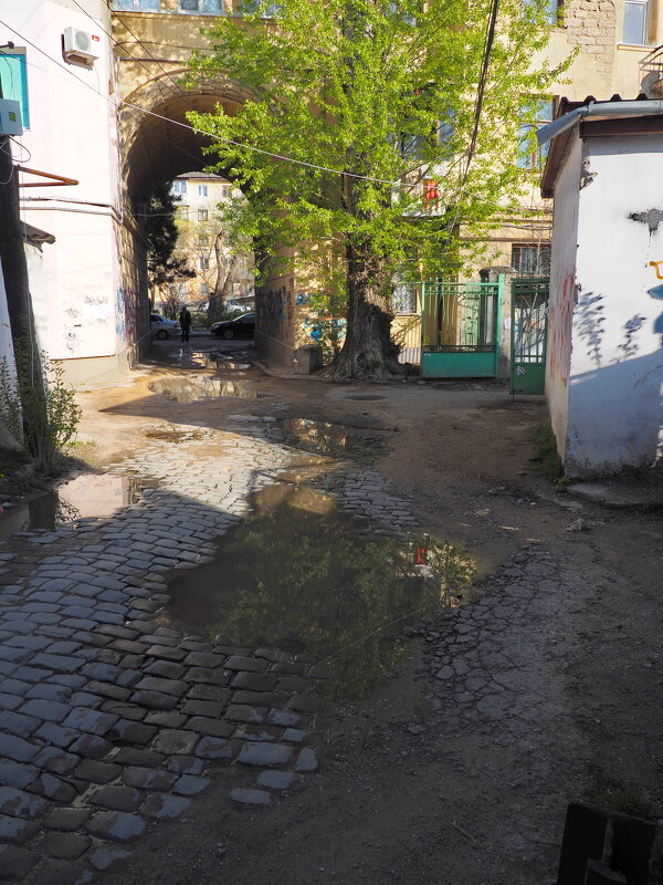 закоулок - Всеволод 