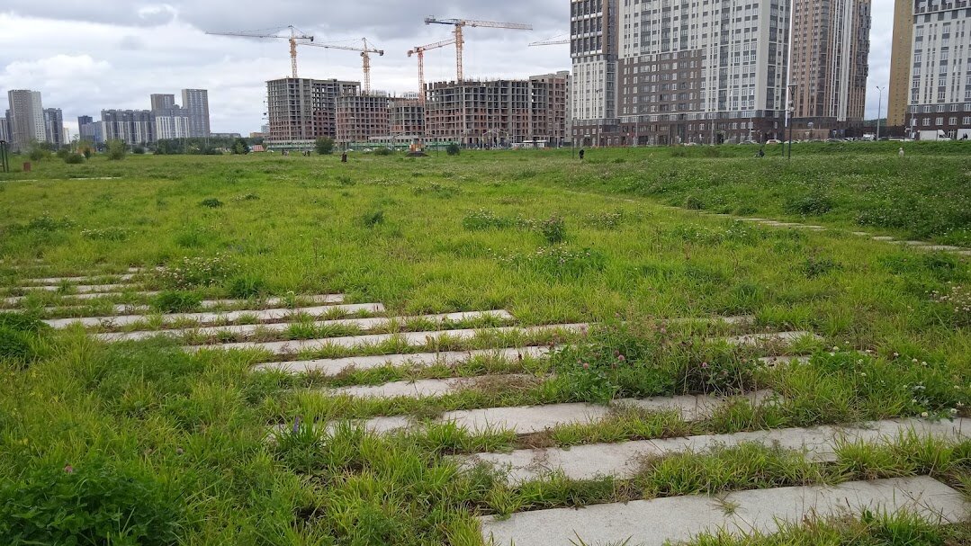 р. Академический. Екатеринбург - Елена Шаламова