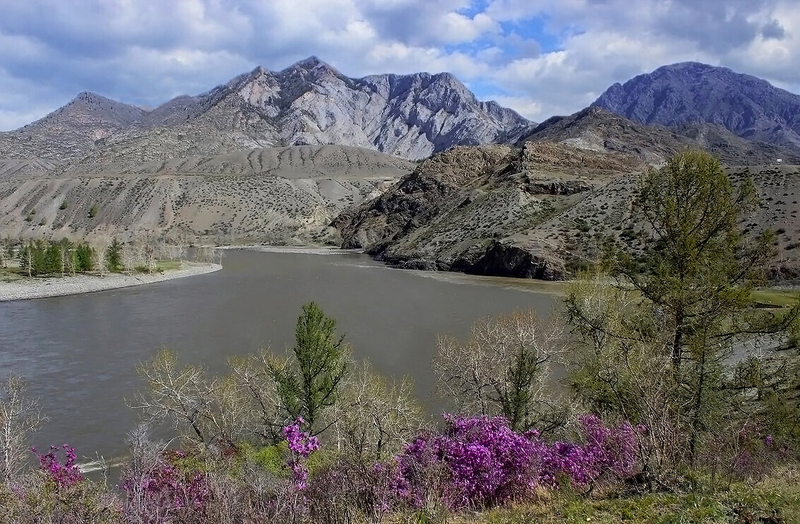 Чуй-Оозы( слияние Чуи и Катуни - елена беликова