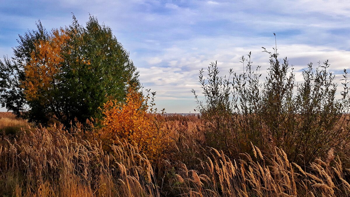 Ветер осенний шумит - Hope 