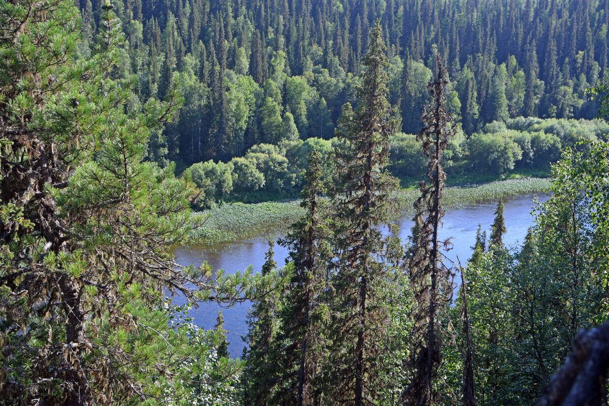 С вершинки. - ВикТор Быстров