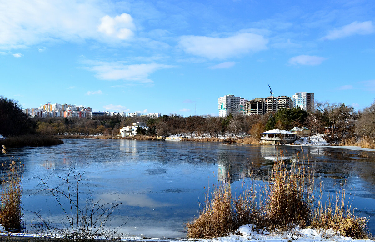 Красивый зимний день - Nina Streapan