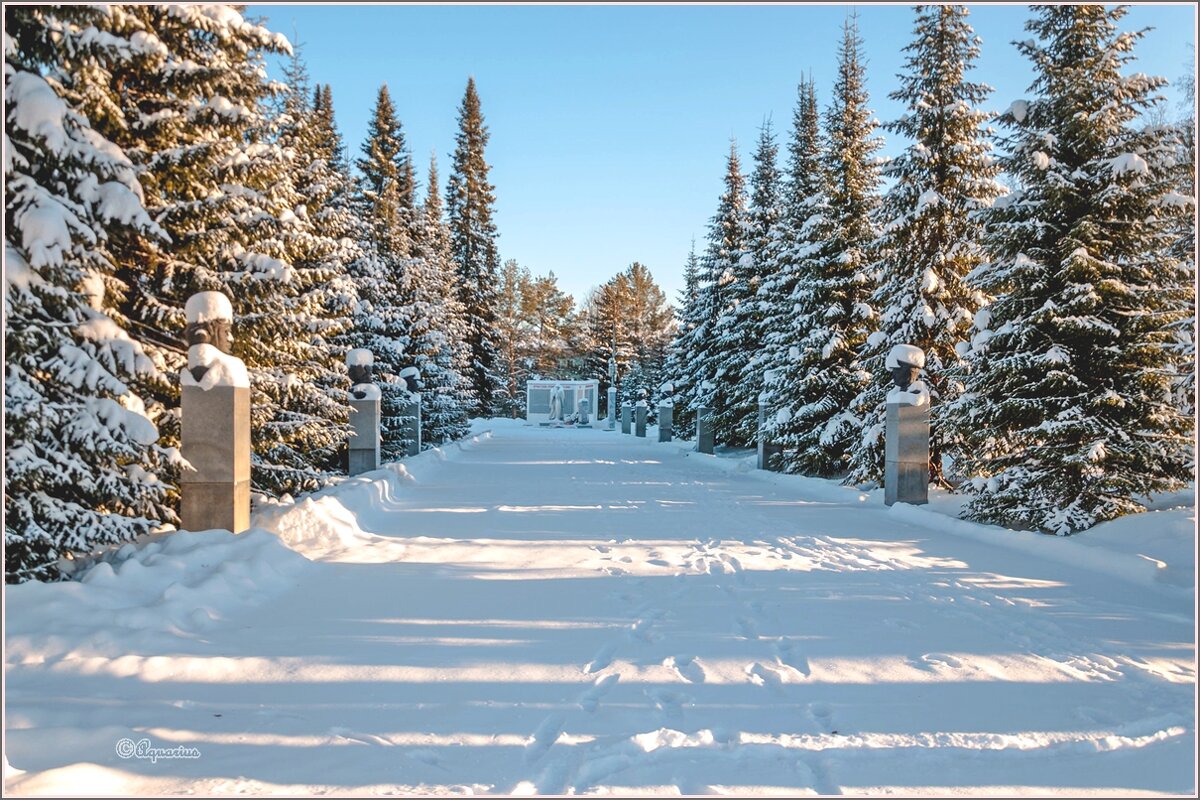 Зимним днём ... - Aquarius - Сергей
