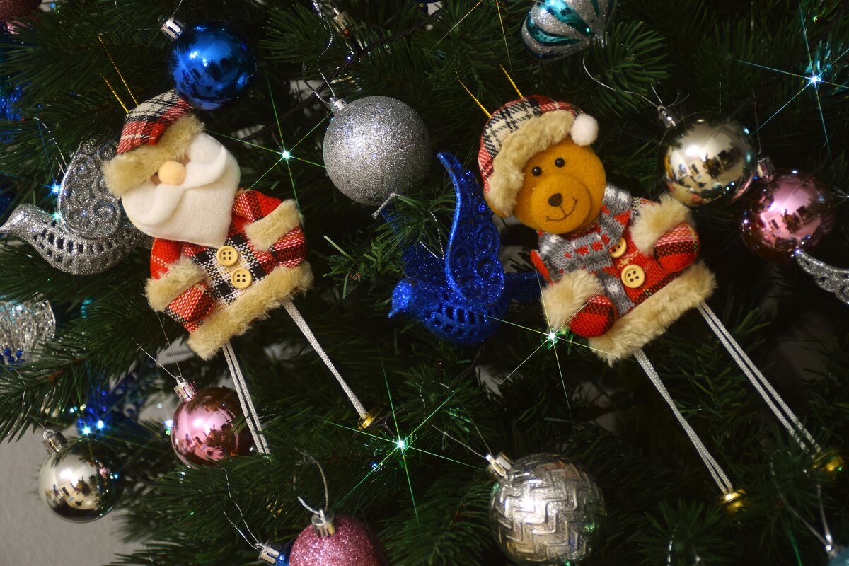 Полетели к звездам! - Юрий Полторыхин.