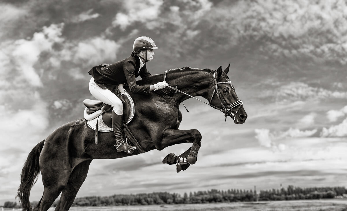 Конкур - SanSan 