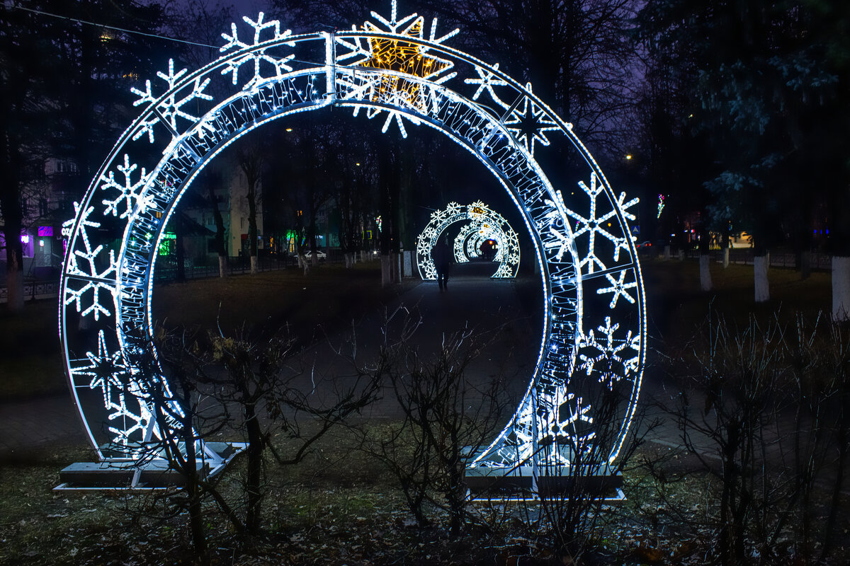 По аллее в Новый год. - Михаил "Skipper"