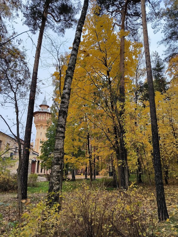 Короткая, но дивная пора. - Ольга 