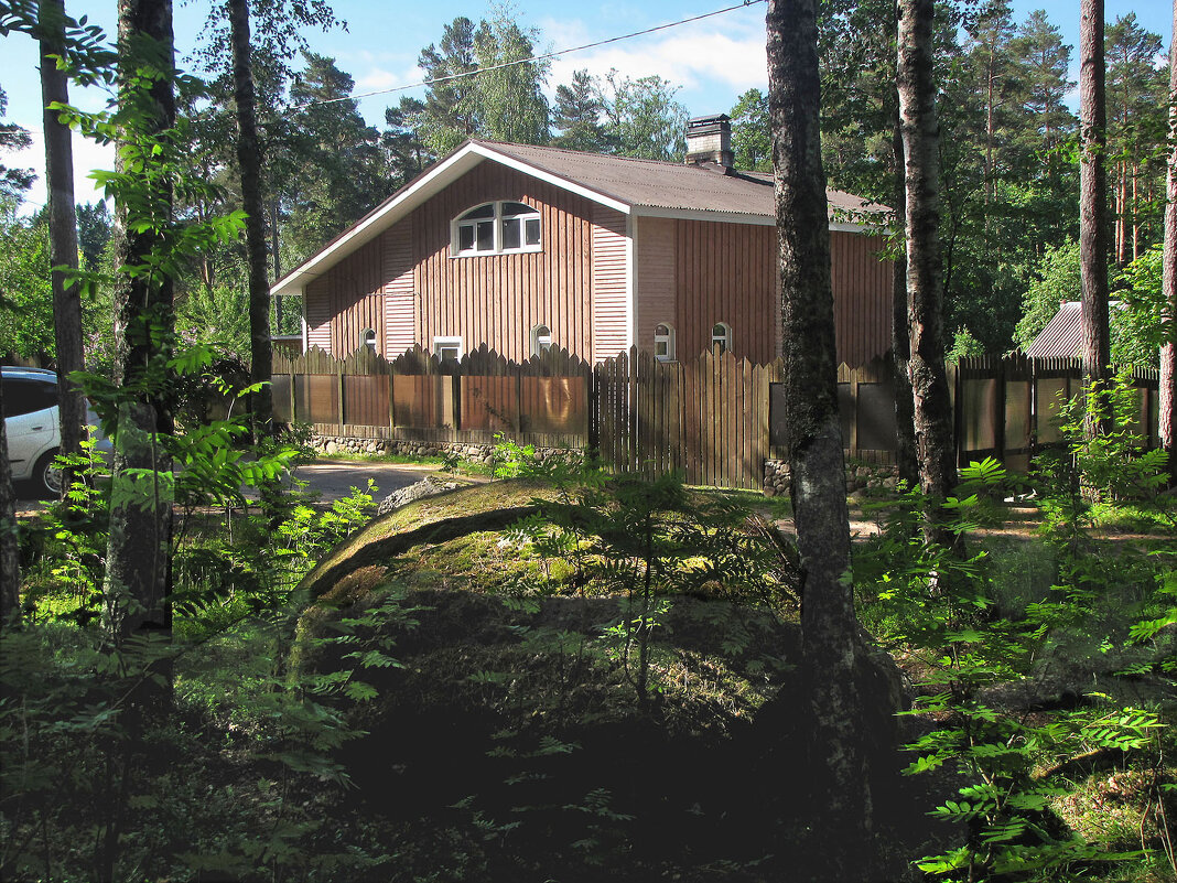 Домик в лесу - Александр Ильчевский 