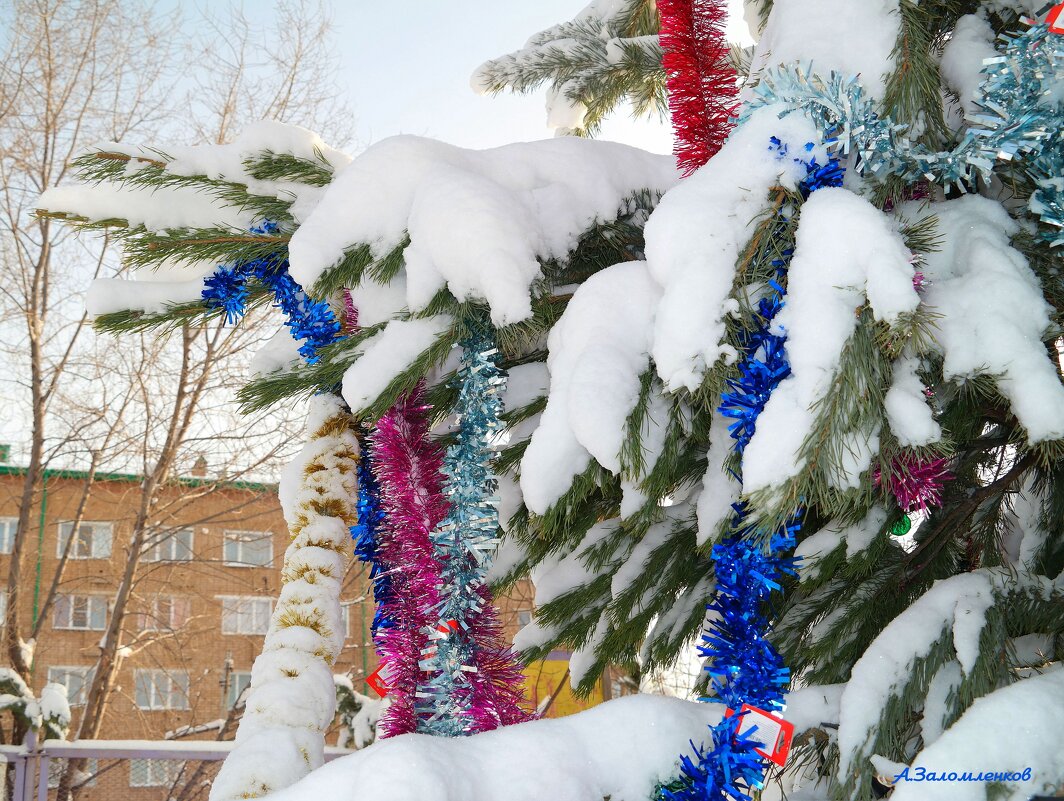 Наша ёлка во дворе в ожидании праздника.. - Андрей Заломленков