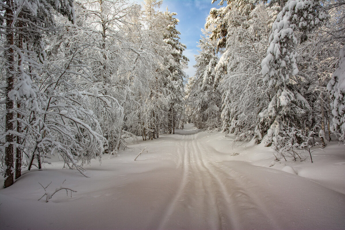 Зимняя дорога - Vladimbormotov 