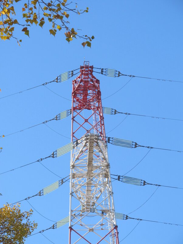 за городом - Елена Шаламова