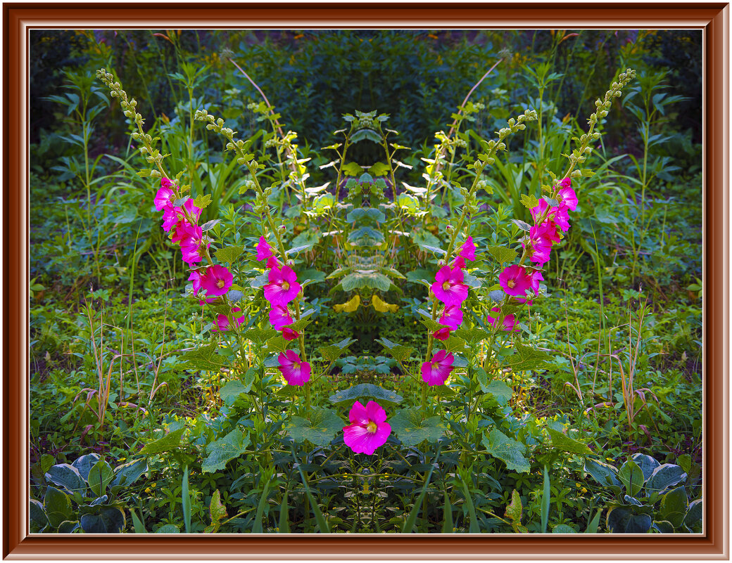 Цветение - Владимир Кроливец