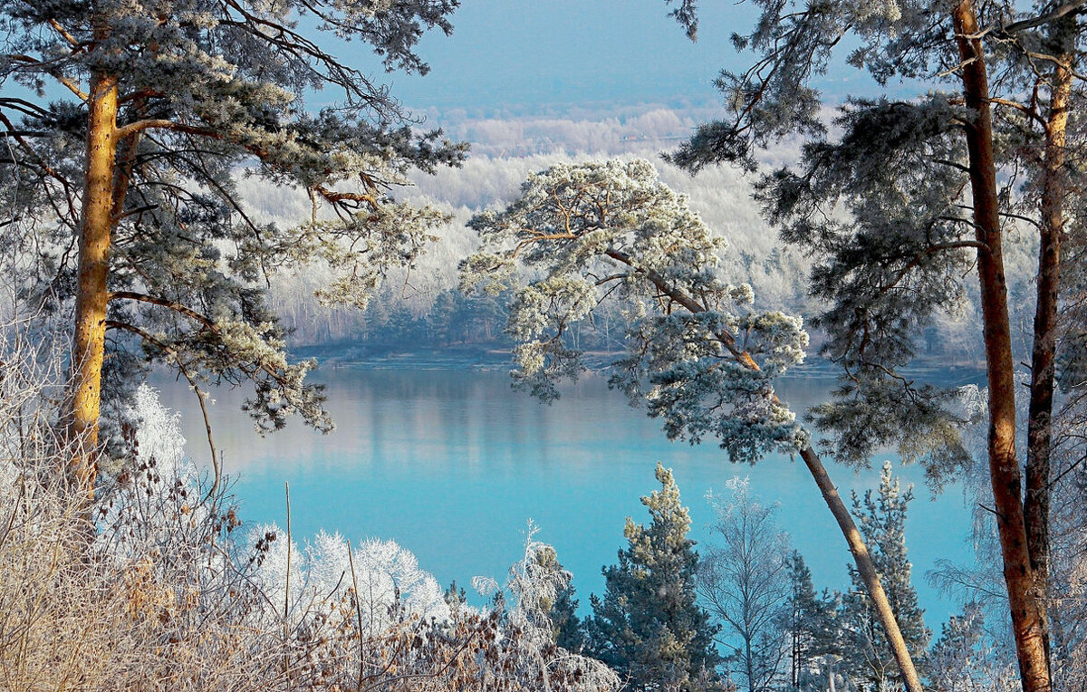 На берегу Оби - елена беликова