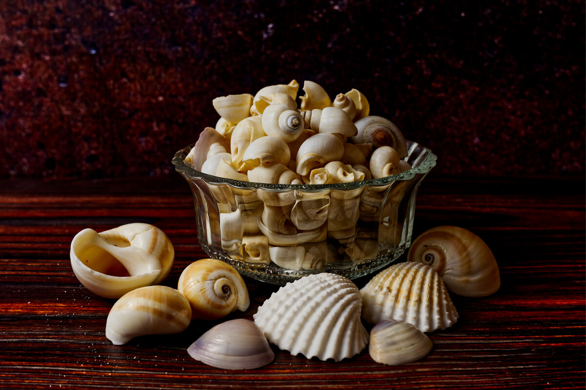 Ракушки ... - Jakob Dick