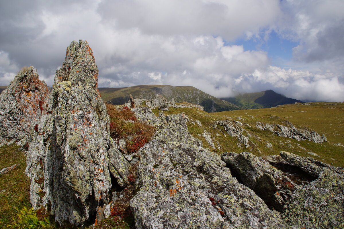 В горах Алтая - Наталия Григорьева