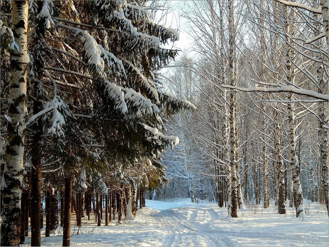 В зимнем парке ... - Валентина Надсон