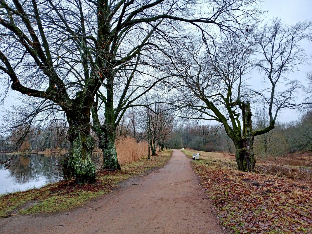 До свидания чистые и сухие аллеи... - Лия ☼