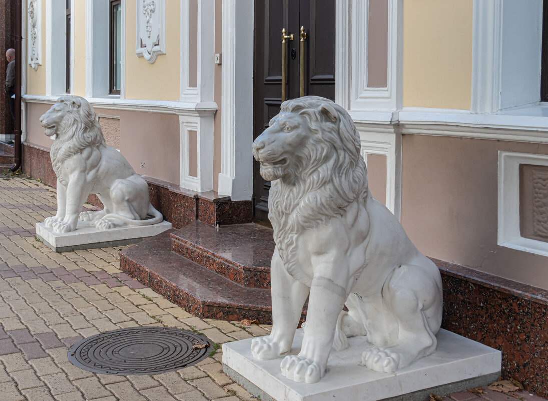 львы ни в Кисловодске львы... - navalon M