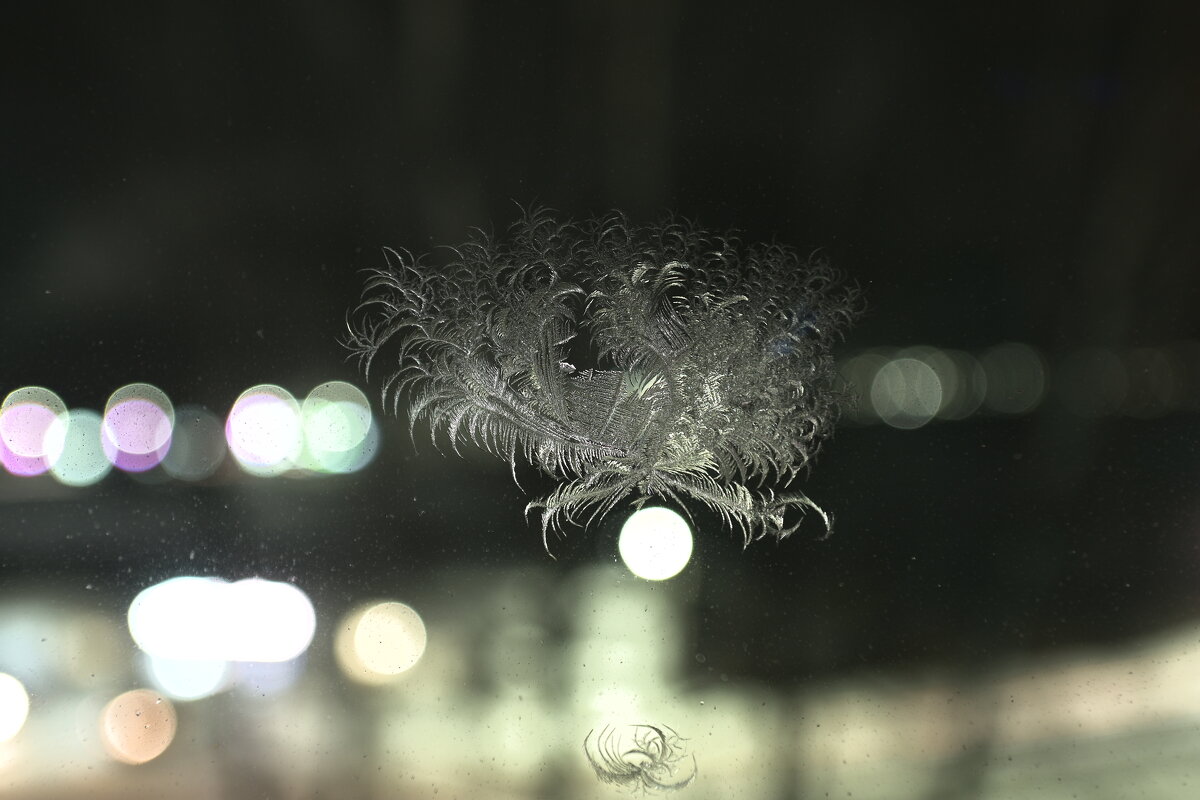 Морозное кружево на стеклянном полотне - Владислав Левашов