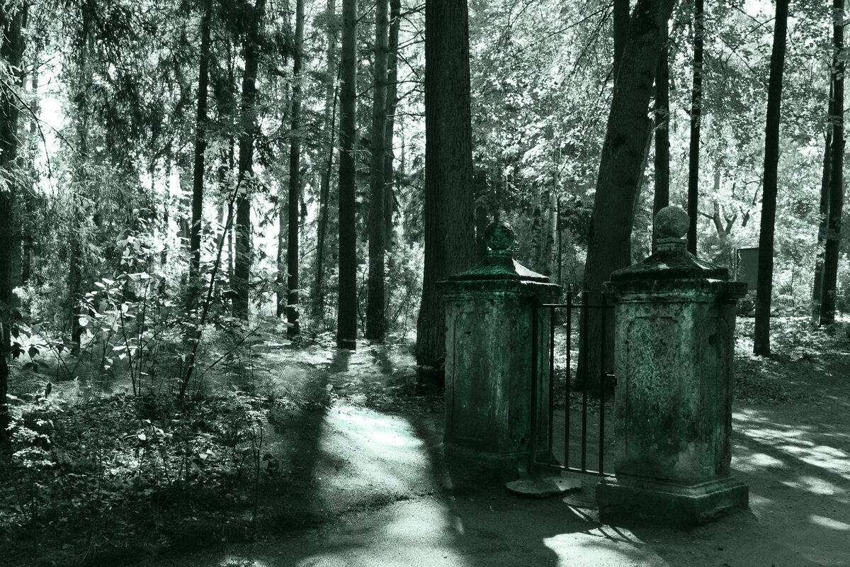 В старом парке - Наталья 