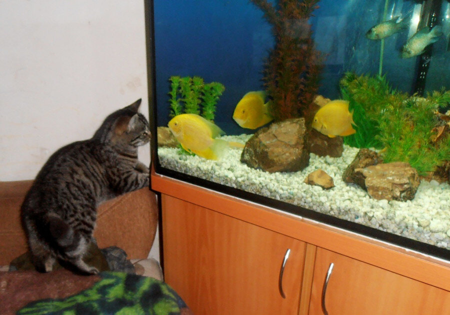 Любимое кино :) - Наталья 