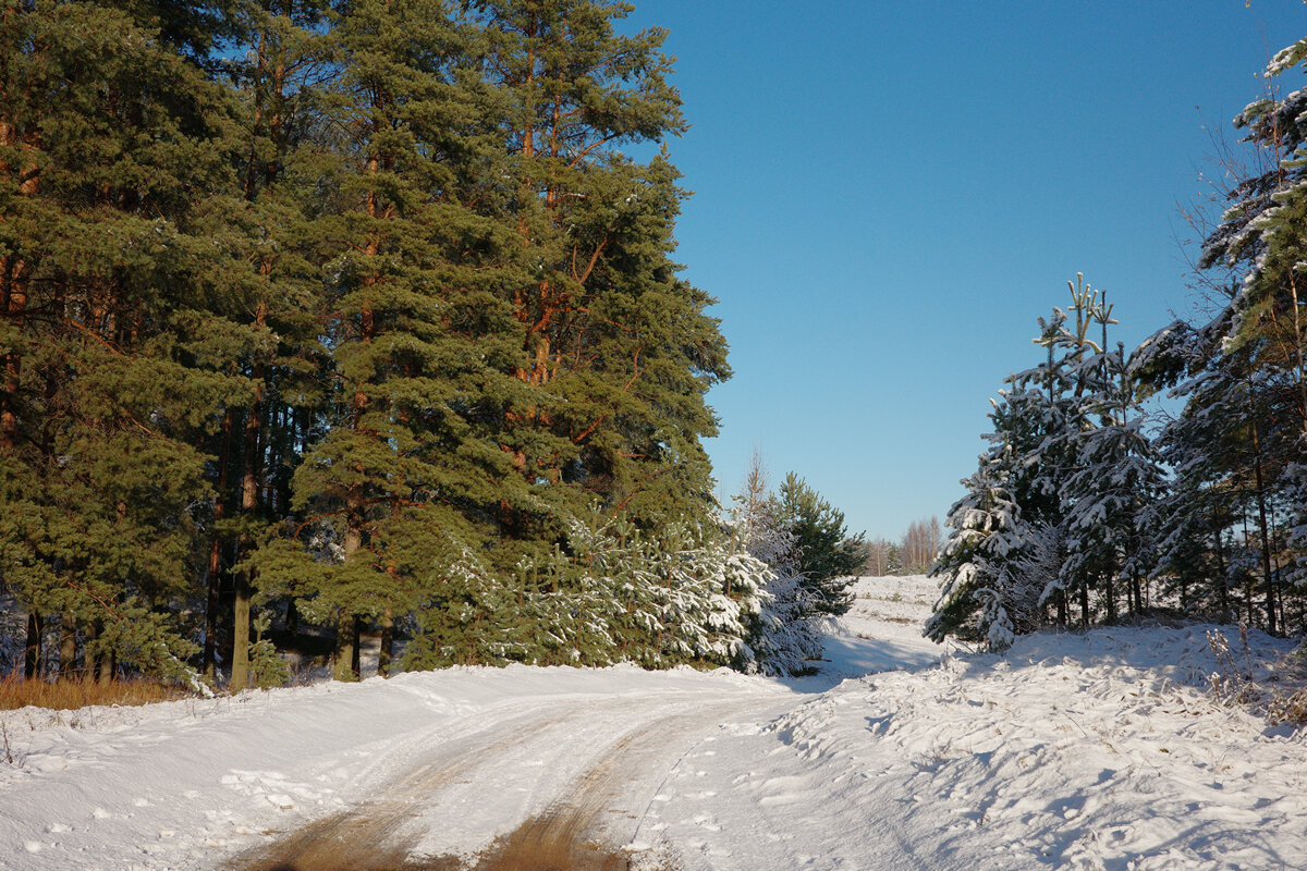 зима в Суоранде - Дмитрий 