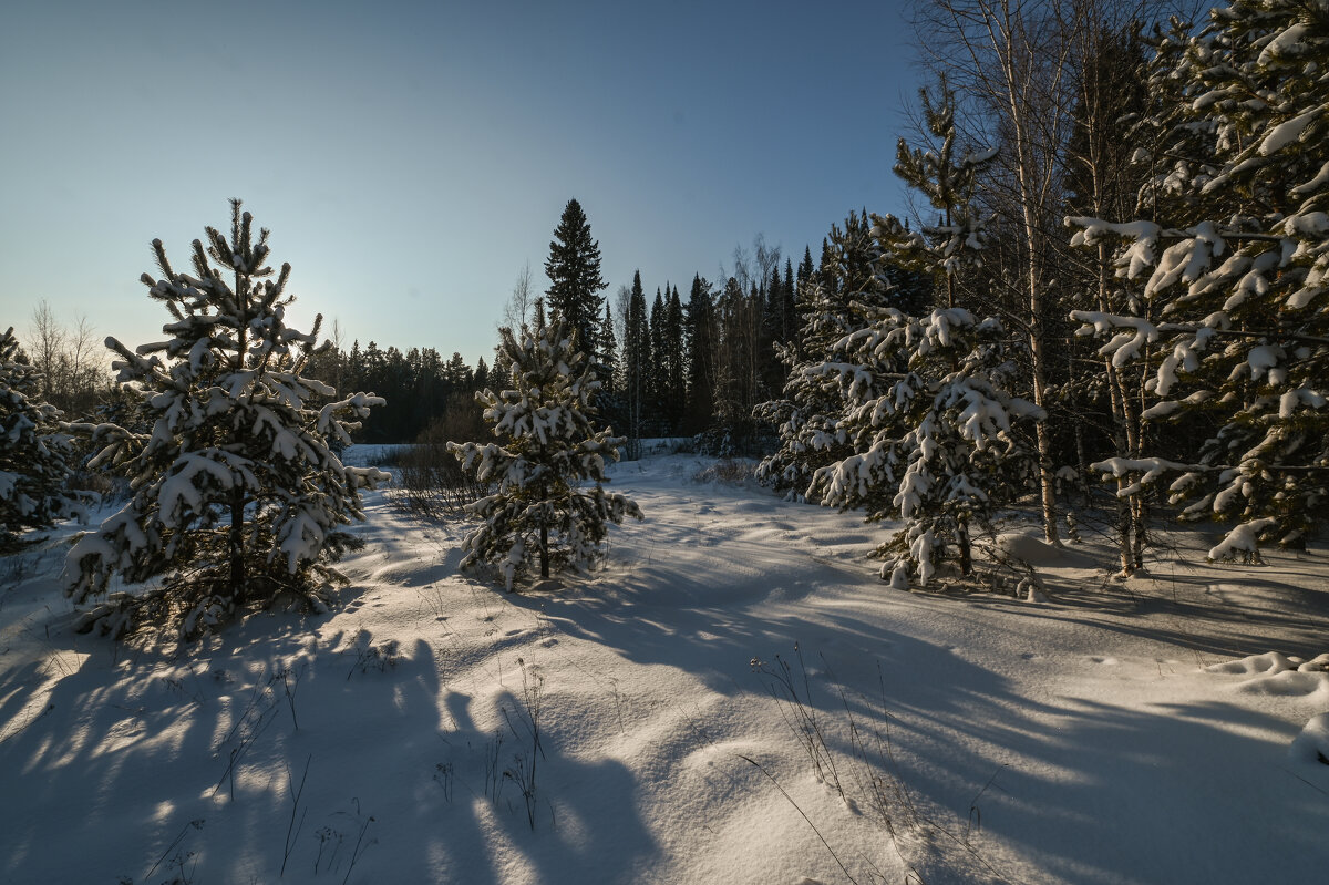 морозно - сергей 
