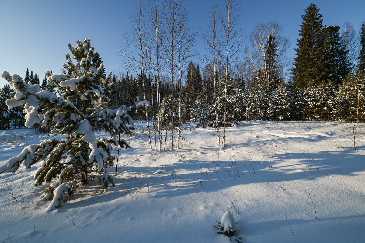 причудливые тени - сергей 
