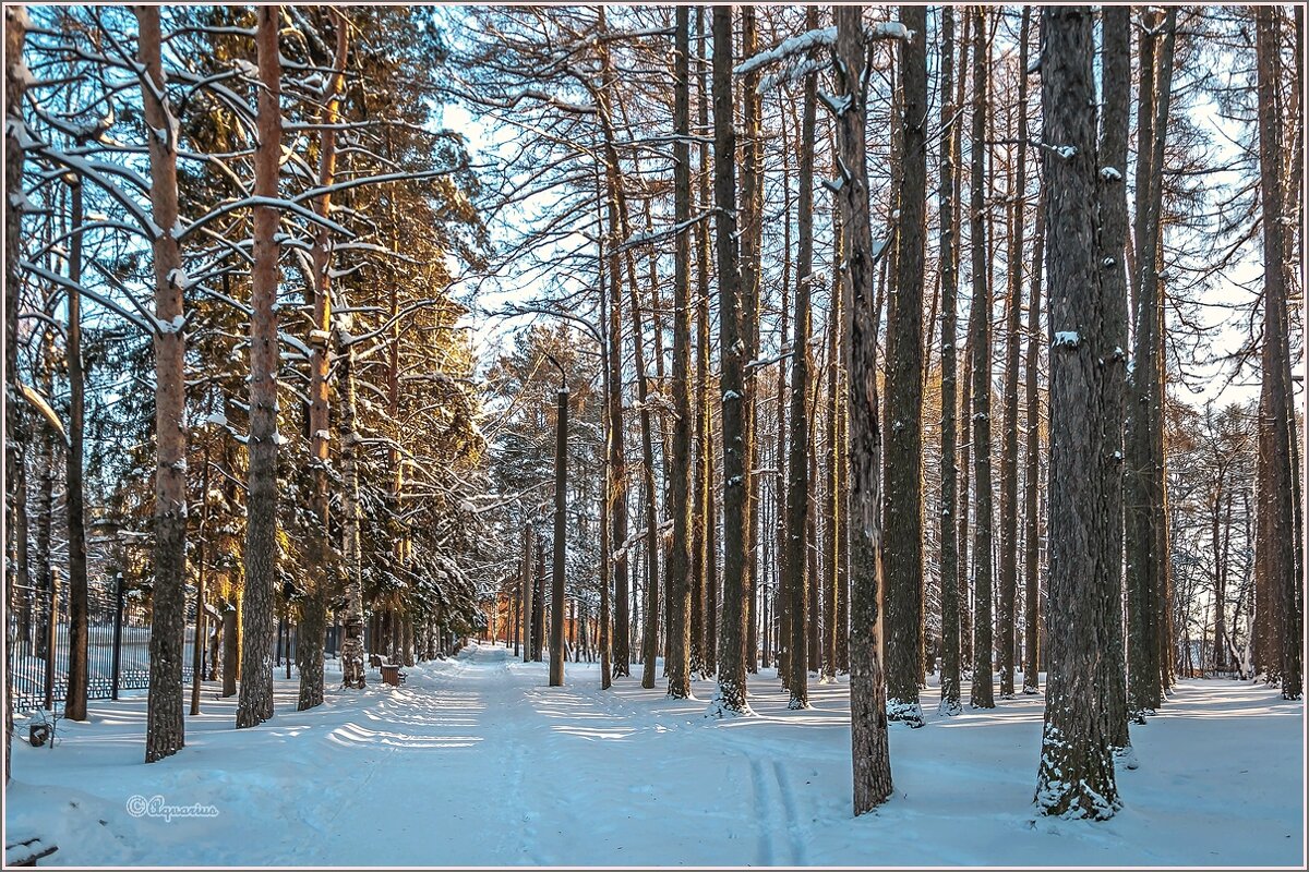 Про декабрь... - Aquarius - Сергей