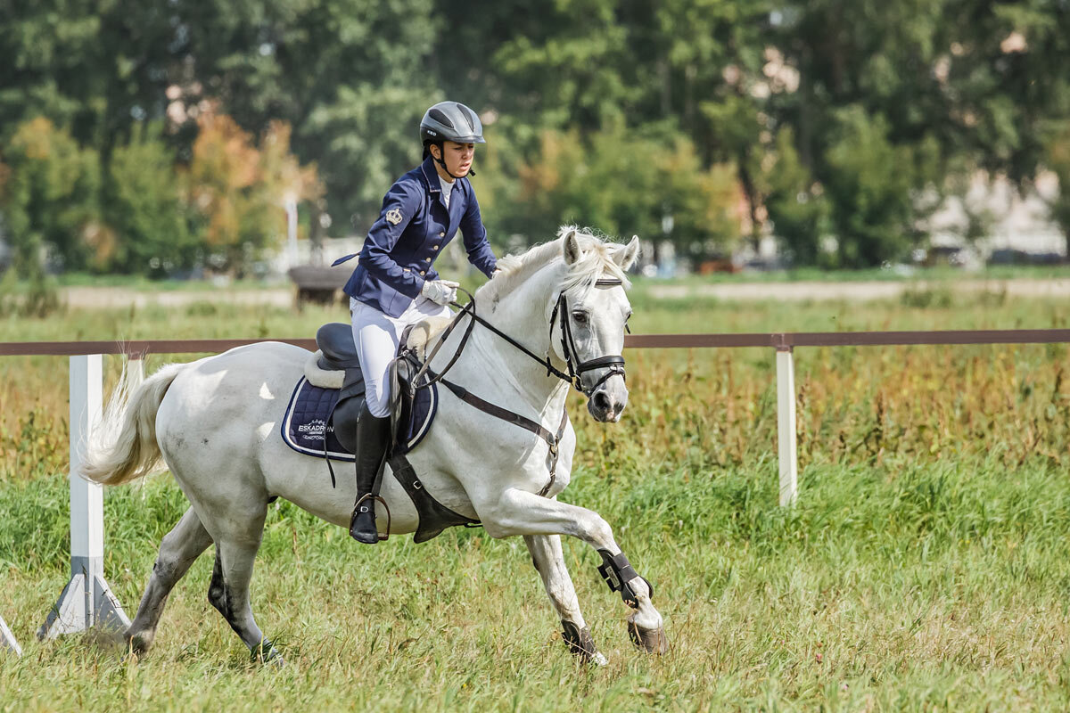 Конкур - SanSan 