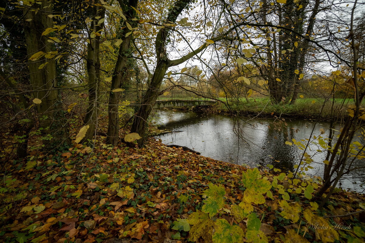 Ноябрьское... - Николай Гирш