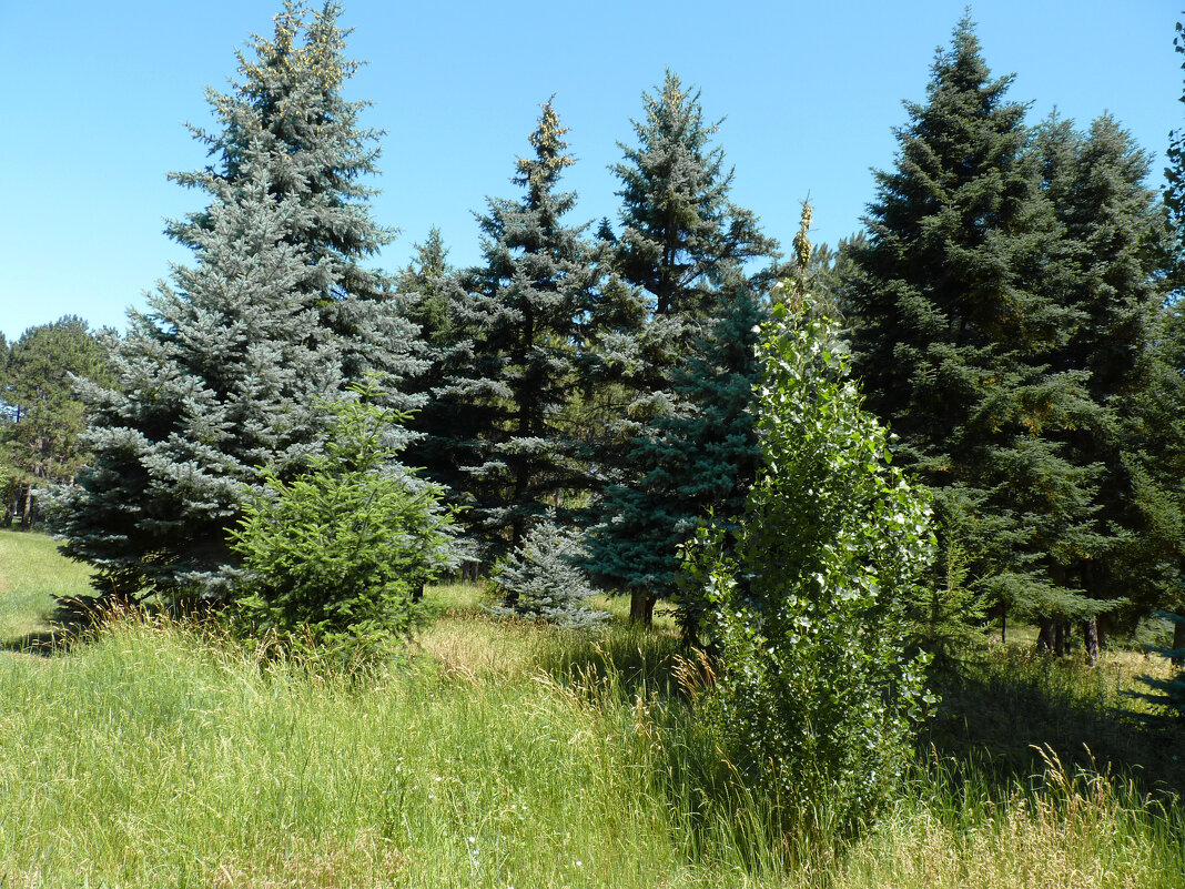 Природа  Крыма - Валентин Семчишин