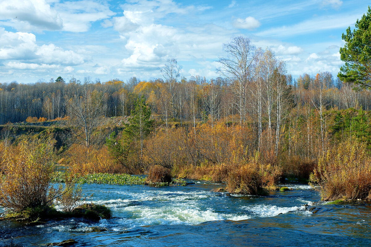 Река Бердь - Дмитрий Конев