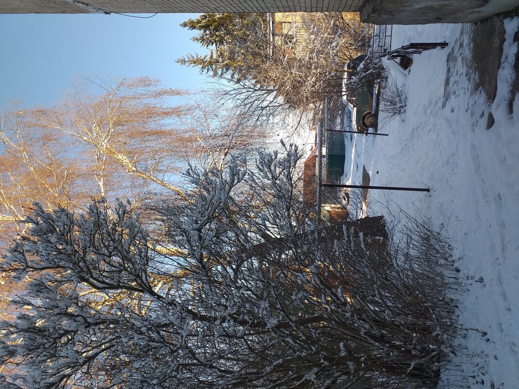 дворовые декорации... - Галина Флора