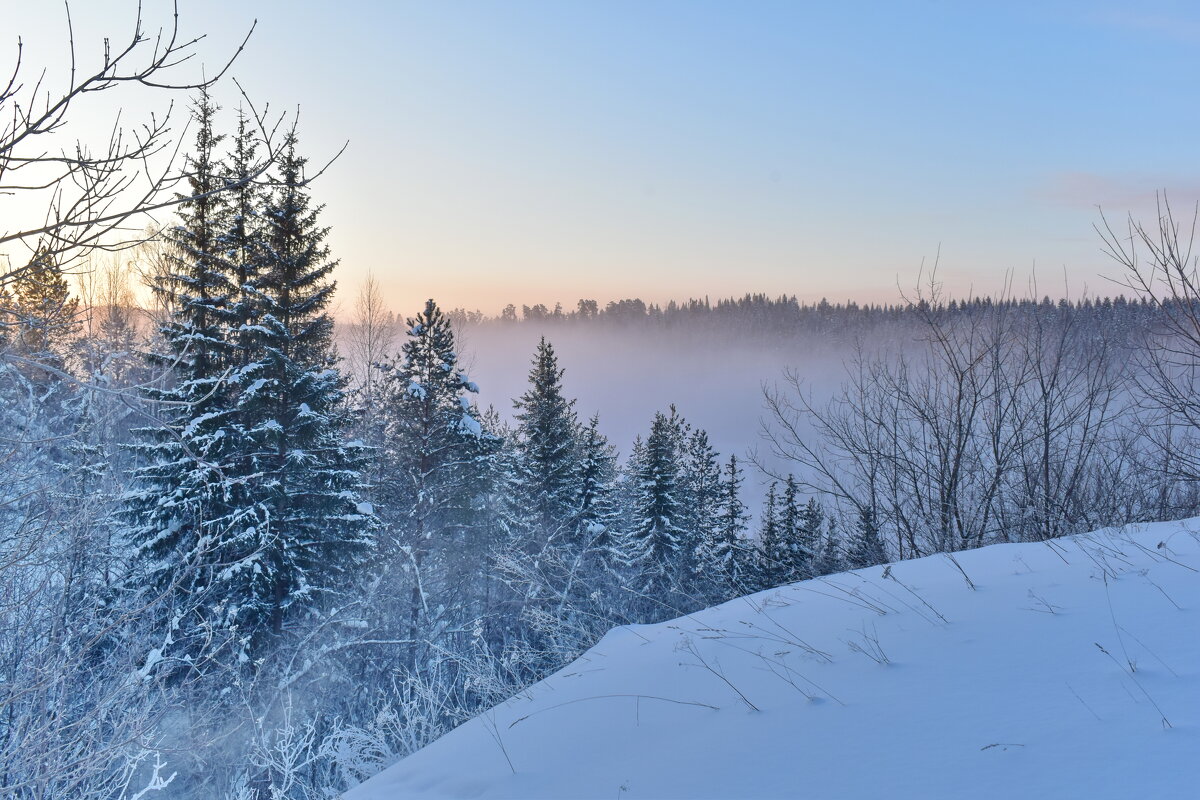 Морозное утро - Роман Пацкевич