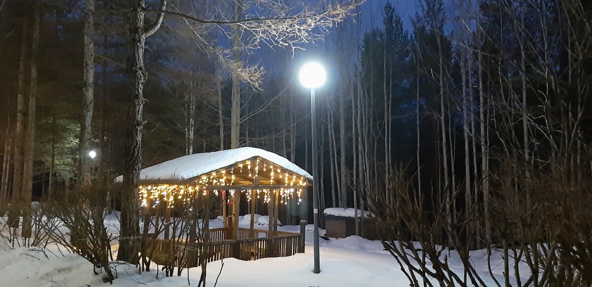 Вечер в парке - Ольга 