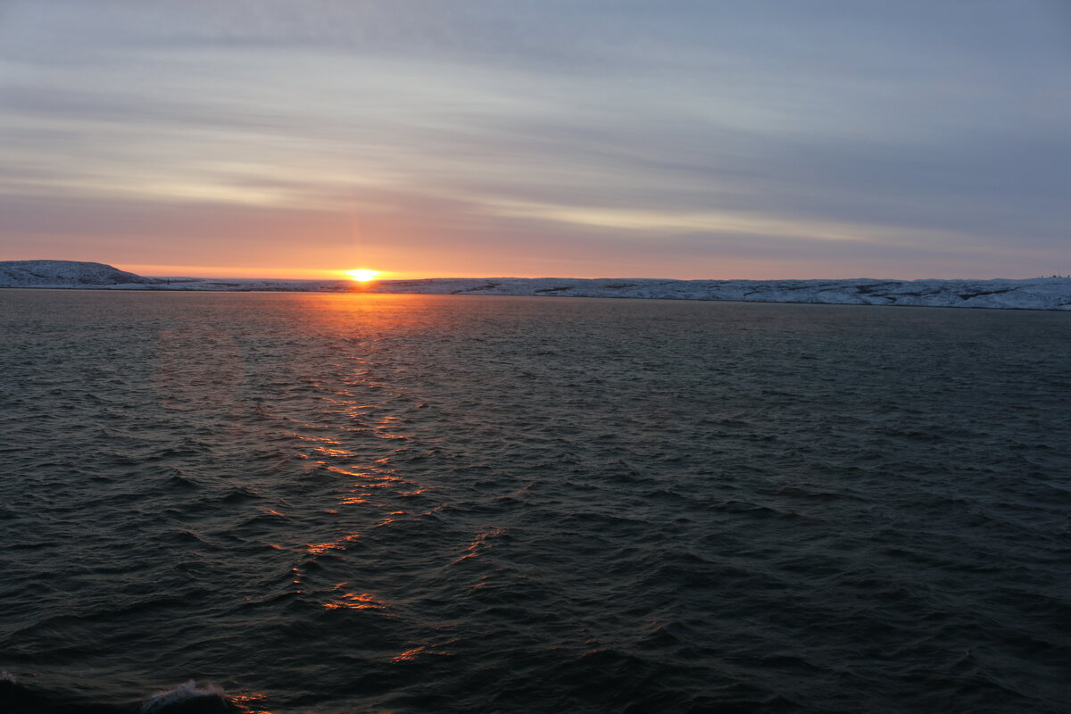 Дожить до рассвета - Ольга 
