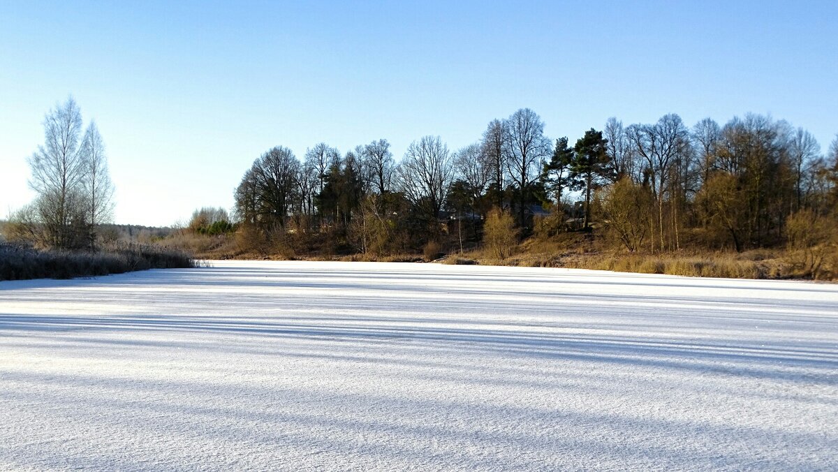 Пришла зима с морозами. - Милешкин Владимир Алексеевич 