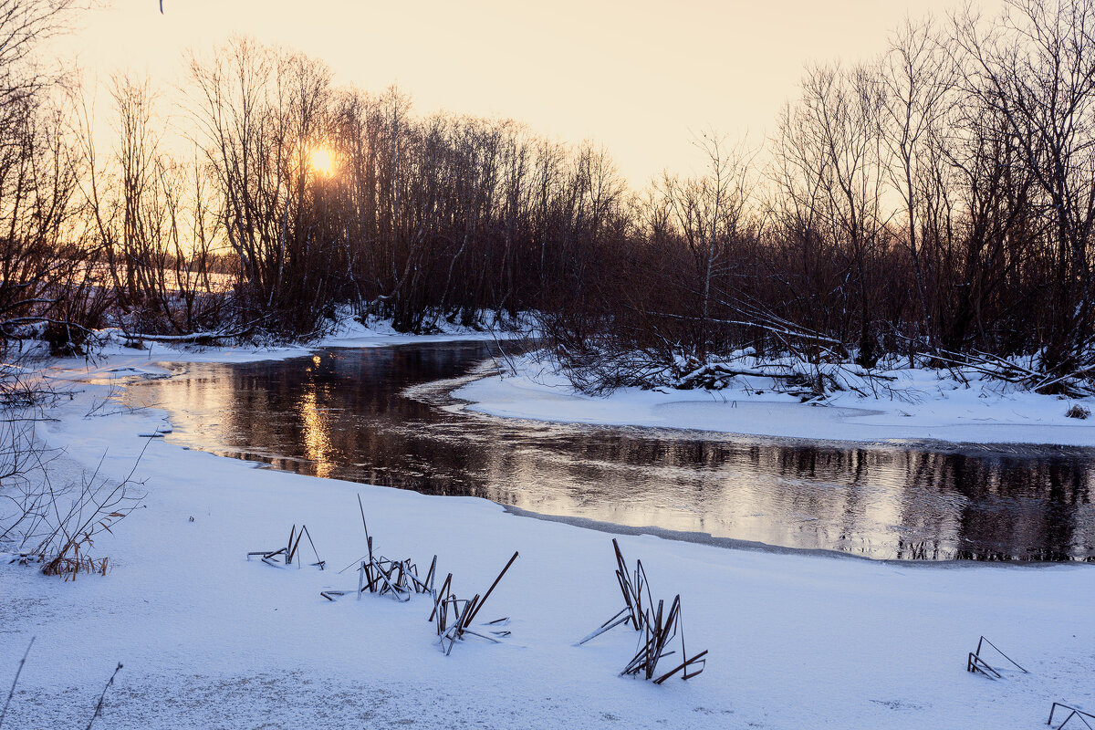 декабрь - Александр Силинский
