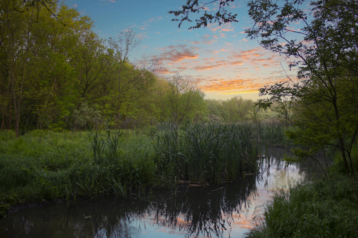 Утро. - Александр. AVG100 ---