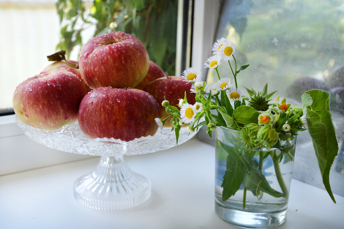 Летний - Надежда Куркина 