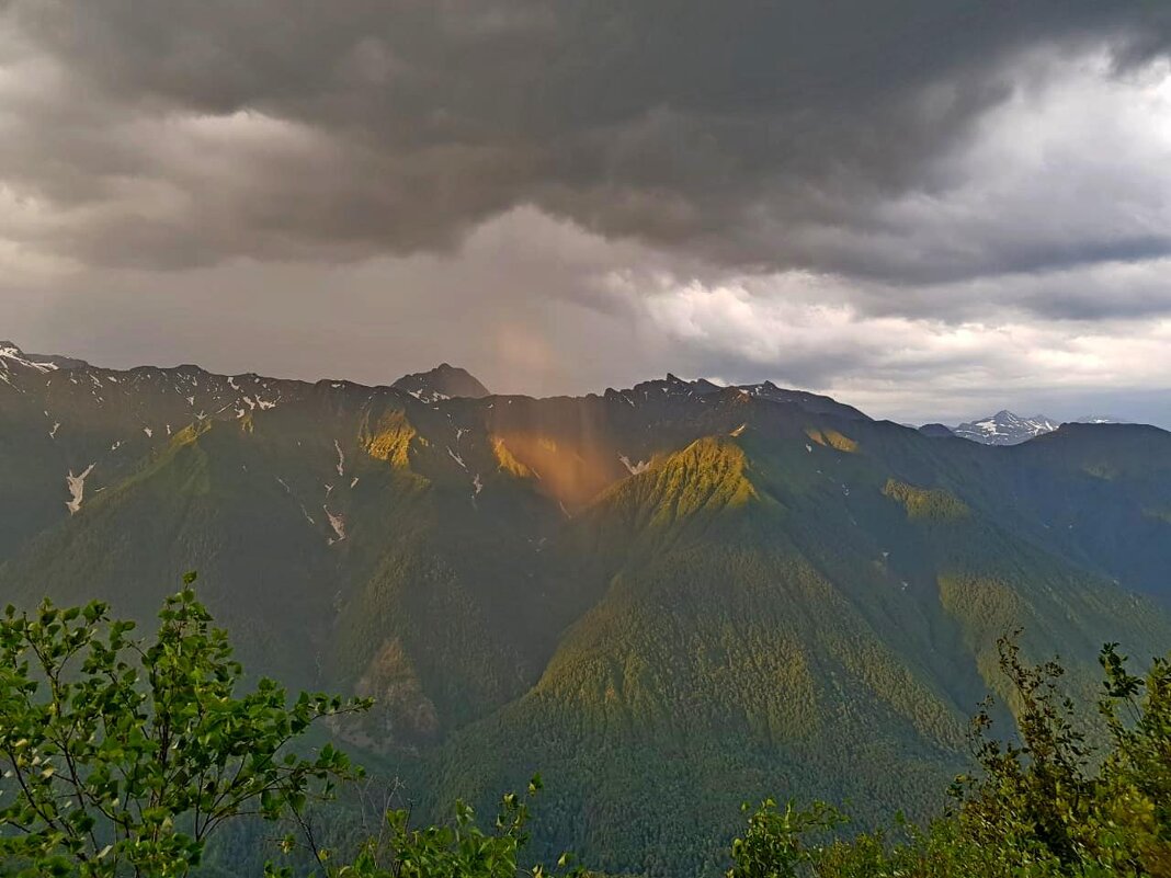 красная поляна сочи - Tata Wolf