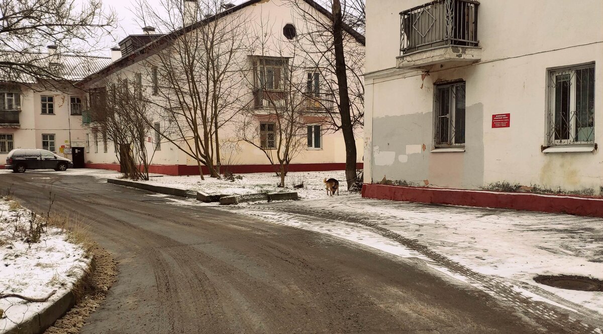 старый двор - Любовь 