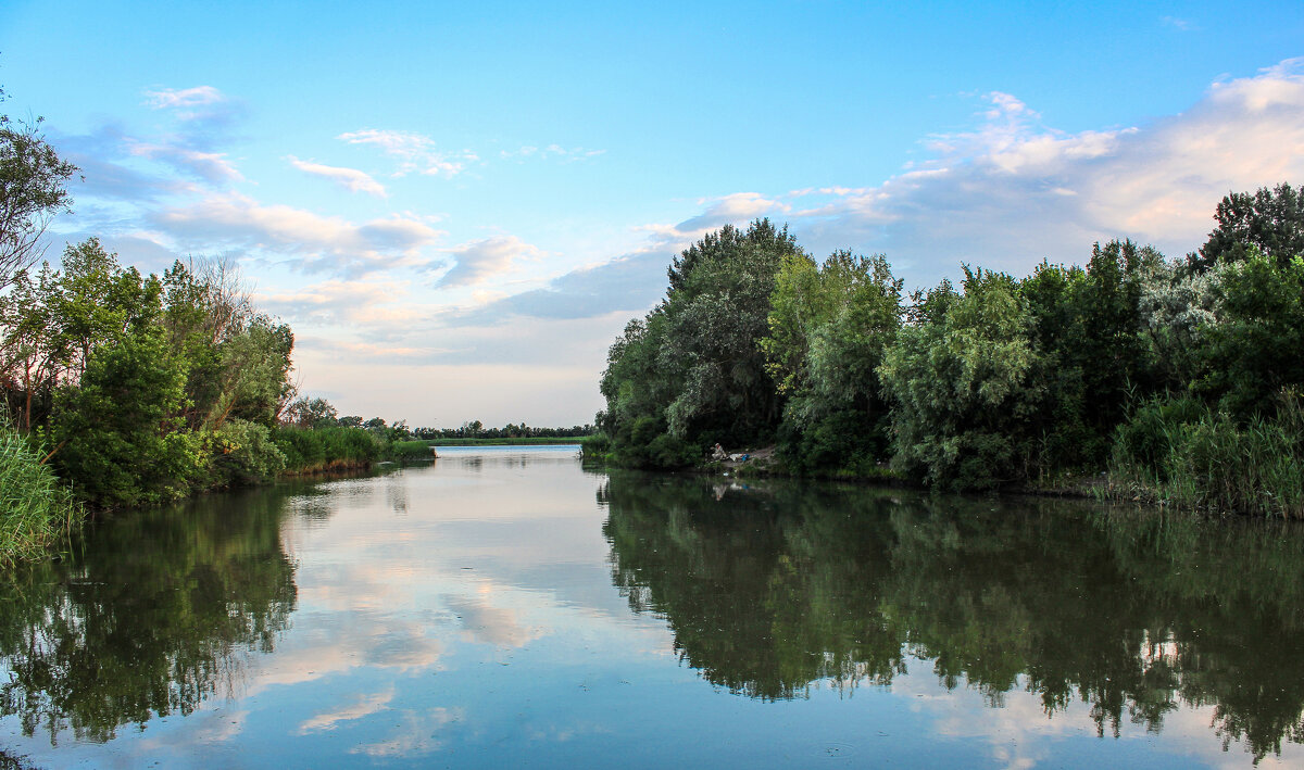 Утро. - Александр. AVG100 ---