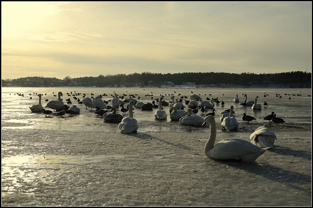 Настало времечко - Aleksandr Gal