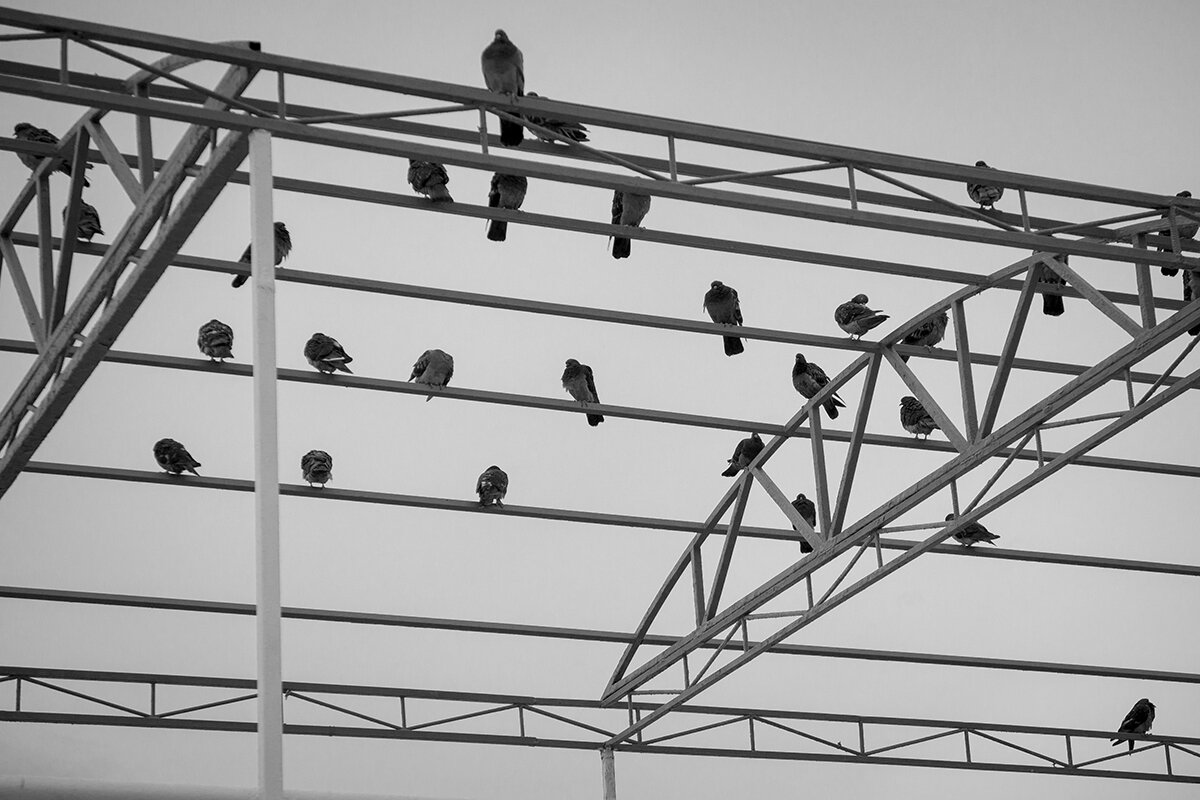 Без названия - Владимир Носов