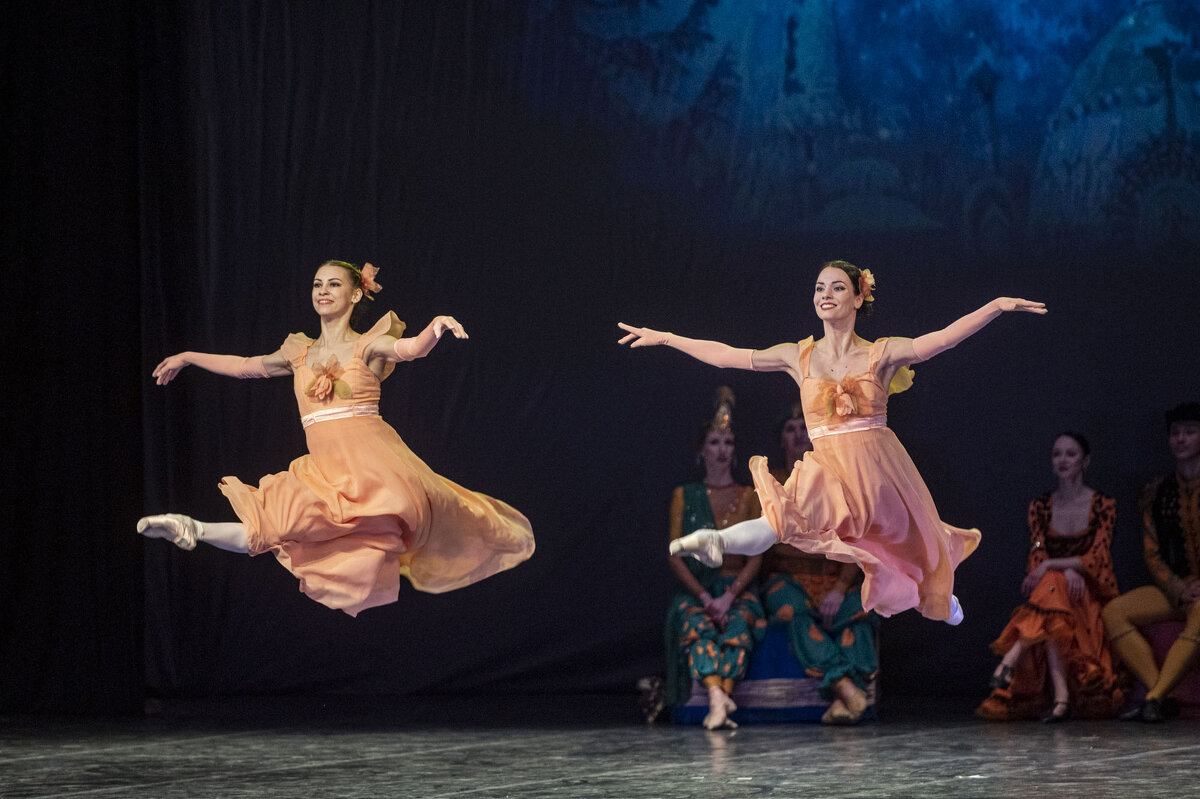 Грации в полёте. - Николай Галкин 